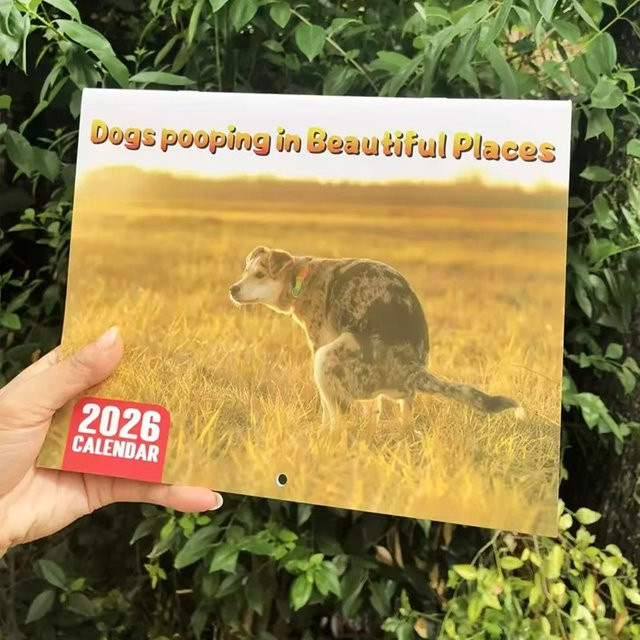 Lustiger Hundekot-Kalender 2026 Monatsplaner mit humorvollen Hundeszenen in Weiss und Multicolour, Breite: 25,0 cm, Höhe: 19,0 cm, Tiefe: 1,0 cm - Bild 1