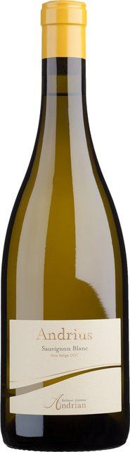 Kellerei Terlan Sauvignon Blanc Weißwein, Südtirol, 2024, trocken, 0,75 l - Bild 1