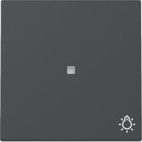 Gira Wippe mit Kontrollfenster und Symbol in Anthrazit - Bild 1