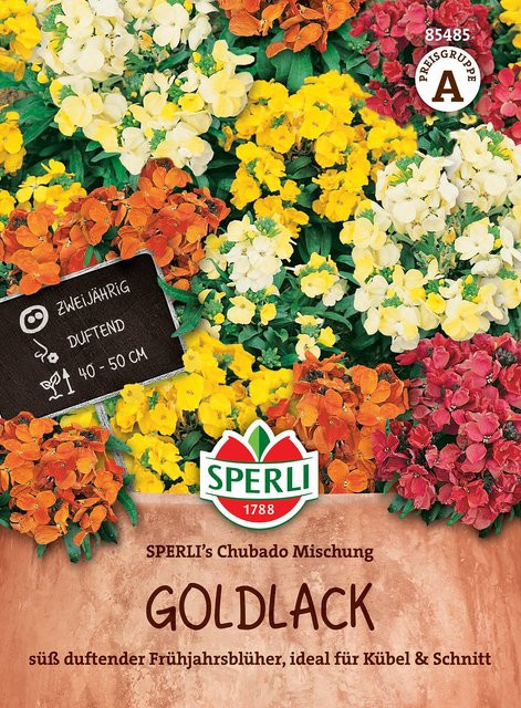 SPERLI Goldlack-Samen Chubado Mischung, bunt - Bild 1