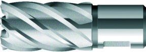 BDS Kernbohrer kurz KBK HSS mit Weldon Schaft in Silber, Durchmesser: 30 mm - Bild 1