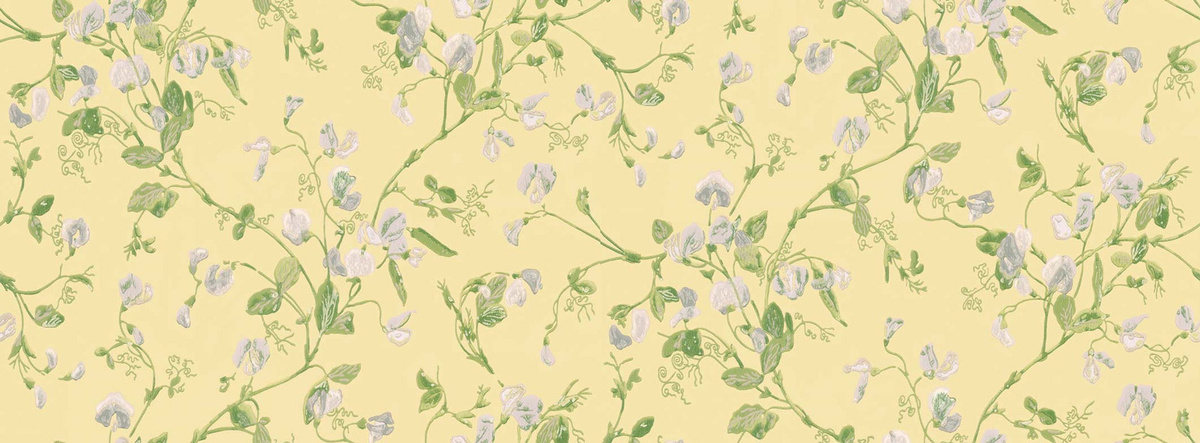 Cole & Son Tapete Sweet Pea Floral Botanical in Gelb - Bild 1