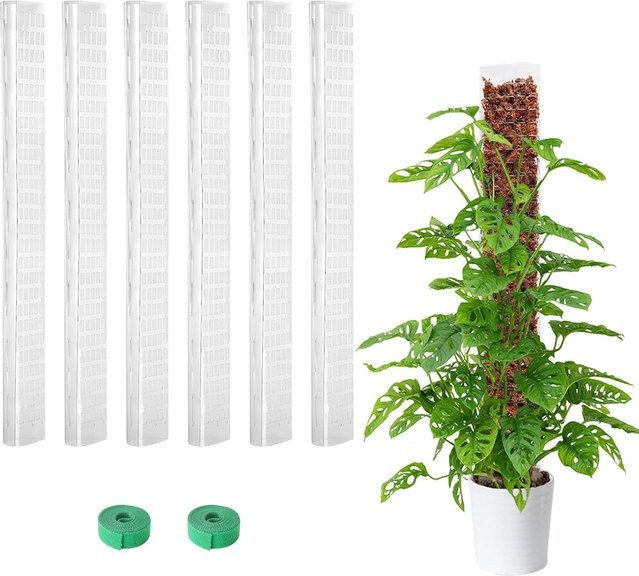 6er Set Kunststoff Moosstäbe mit Sphagnum Moos zur Pflanzenunterstützung für Zimmerpflanzen und Kletterpflanzen, Höhe: 60,96 cm - Bild 1