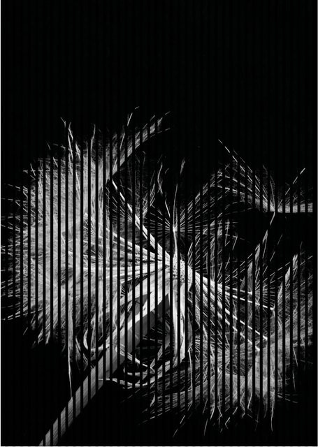 FN Acustico Akustikplatte Pusteblume in Bunt aus PET und MDF, H x B x T: 2.400 x 1.693 x 19 mm - Bild 1