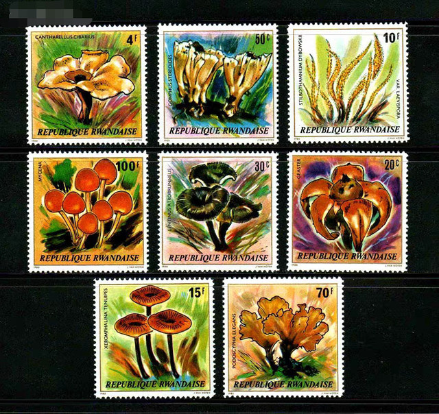 Briefmarken-Set Ruanda Post 1980 Pilz Pflanzen 8 Teile MNH mehrfarbig - Bild 1