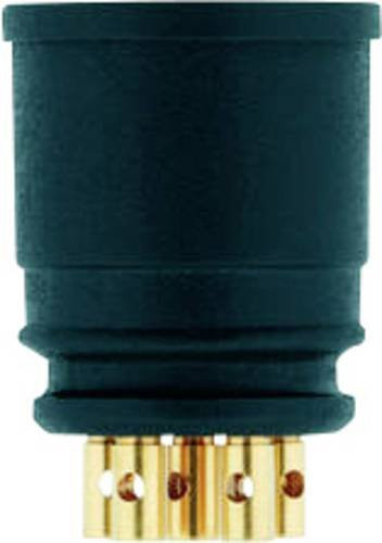 Escha 8008156 Sensor-Aktor-Einbausteckverbinder mit 5 Polen in Schwarz - Bild 1