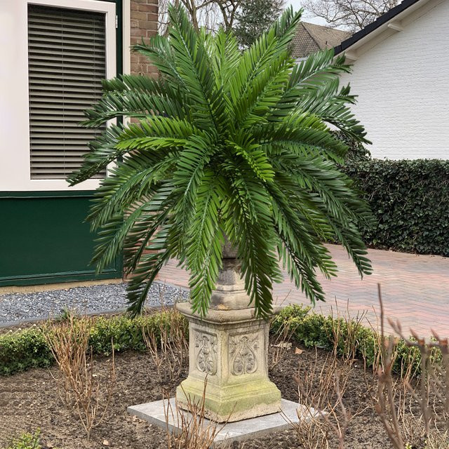 Künstliche Palme Kmitang in Grün, tropischer Kokosnussbaum mit persischen Blättern zur Dekoration von Haus und Garten, Höhe: 45 cm - Bild 1