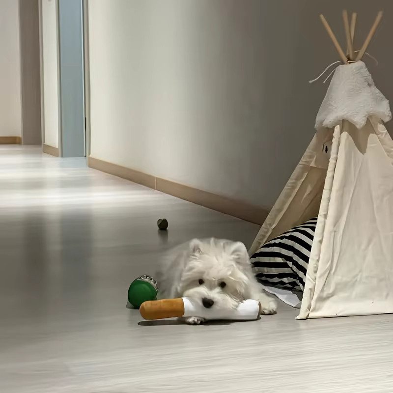 DUTRIEUX Hundespielzeug, zigarrenförmig, weiches Plüsch, quietschend, 1-teiliges Set - Bild 3