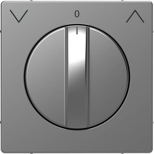 Merten Abdeckung System Design Edelstahl in Silber MEG3875-6036 - Bild 1