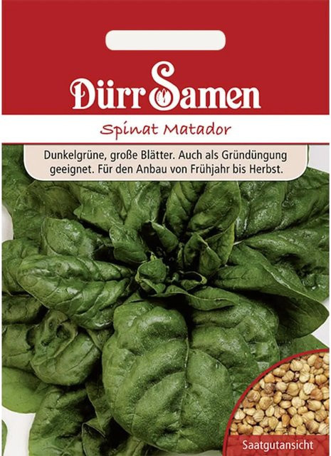 Dürr Spinat Matador Saatgut für Frühjahr und Herbst, 2000 g - Bild 1