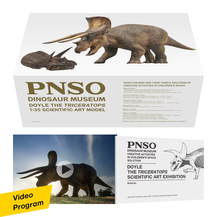 Pnso Dinosaurier Museen Serie, Triceratops, Kunstmodell, Braun - Bild 5