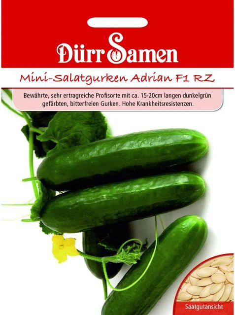 Dürr Mini-Gurken Adrian F1 Rz Saatgut - Bild 1