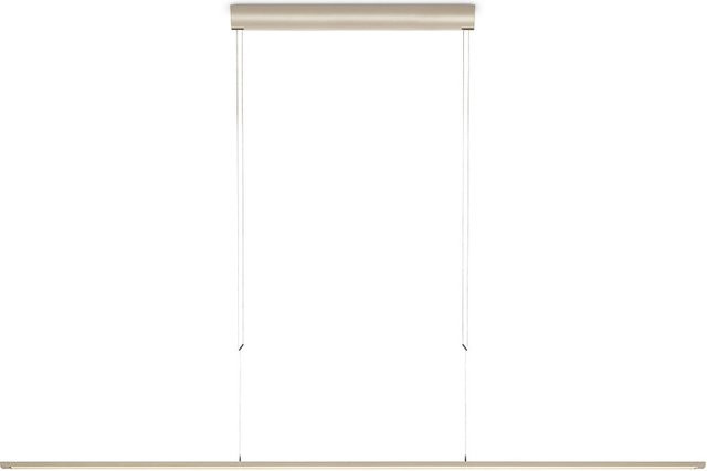 Oligo Lisgo Sky Straight Max LED-Pendelleuchte in Beige, dimmbar, Höhe: 187,5 cm - Bild 1