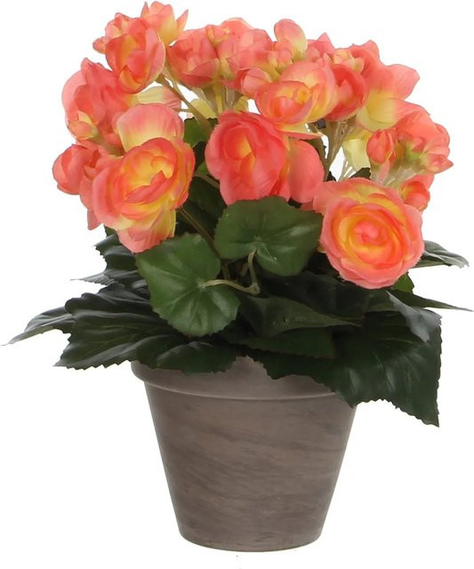 Kunstblume Begonia von Mica Decorations in Lachs, Topf-Ø: 11,5 cm, Höhe: 30 cm, Breite: 25 cm - Bild 1