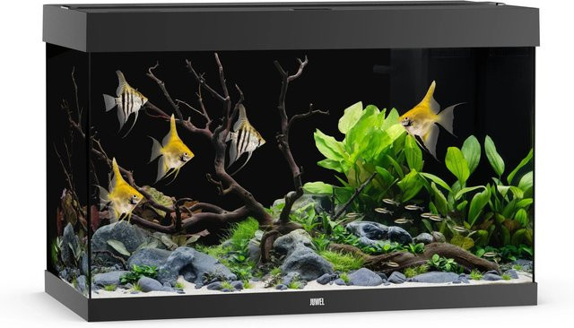 Juwel Aquarium Rio 290 LED Schwarz - Bild 1