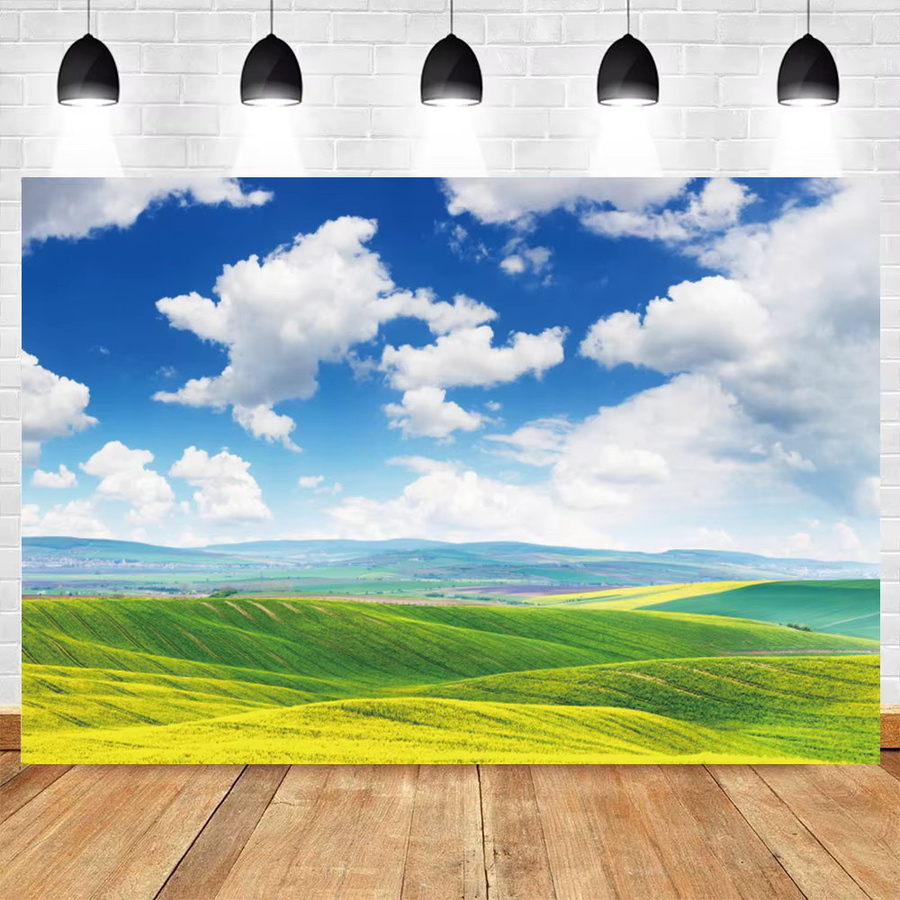 Yeele Fotohintergrund Naturlandschaft mit grünem Gras und blauem Himmel für Baby-Porträts und Fotostudios - Bild 2