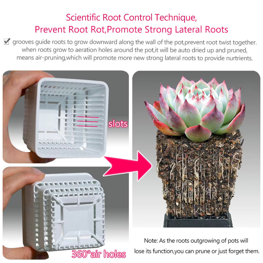 MESHPOT Sukkulententopf aus Kunststoff mit Löchern zur Wurzelkontrolle für Kakteen und Lithops, Weiß, 10 Stück - Bild 3