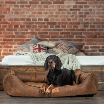 Tierlando ALBERTO ORTHO Orthopädisches Hundebett mit Velours in Vintage Hellbraun, B: 150 cm, T: 100 cm, H: 25 cm - Bild 2