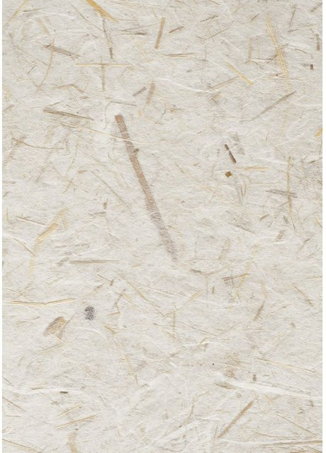 MarpaJansen Bananenpapier Natur in Beige aus Maulbeerbaumfasern mit mattem Finish - Bild 1
