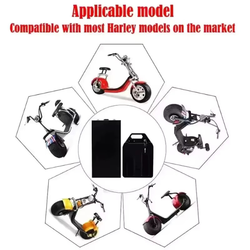 SUYIJIA Li-Ion Akku 60V 20Ah-40Ah für 2000W Harley Citycoco Elektroroller in Schwarz - Bild 4