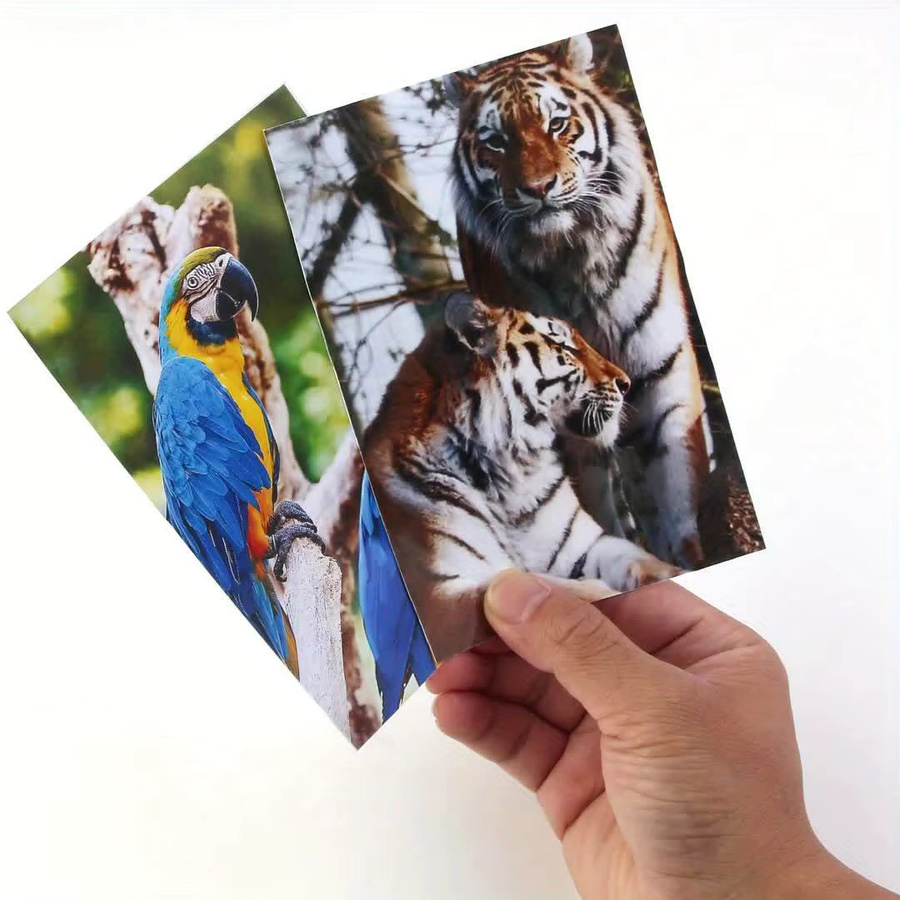 100 Blatt glänzendes Fotopapier für Tintenstrahldrucker in 5R Format - Bild 3