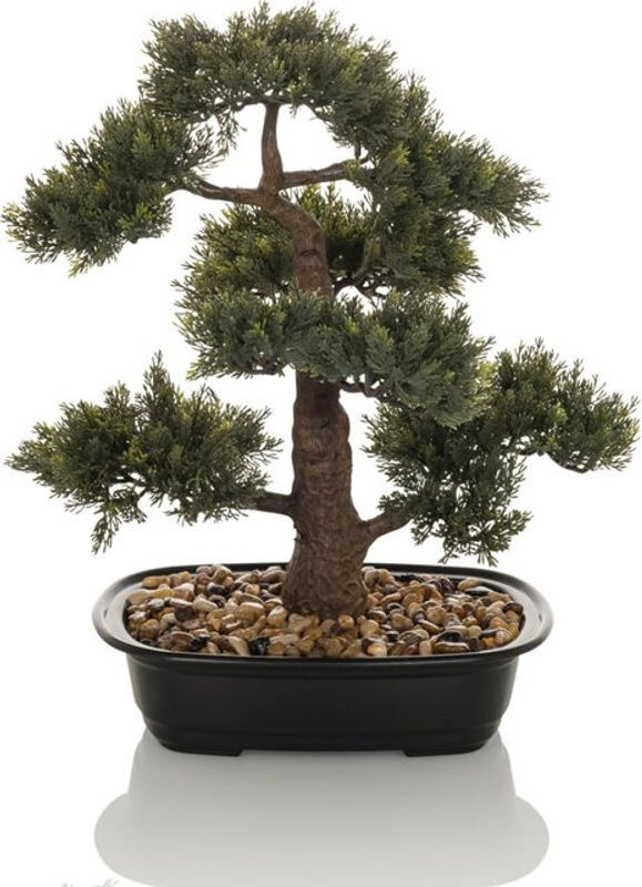hjh OFFICE Kunstpflanze Bonsai in Grün aus Kunststoff, Höhe: 44 cm - Bild 5