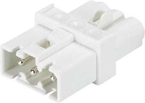 Wieland Electric 91.030.5953.0 Verteiler in Weiß - Bild 1
