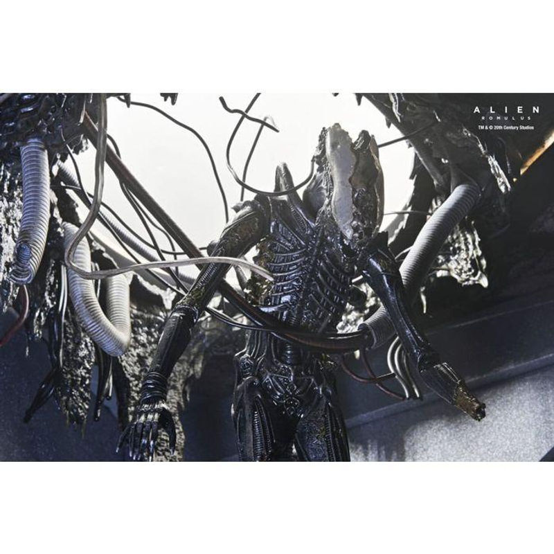 Neca Alien Romulus Deluxe Xenomorph XX121 Figur Hängendes Labor in Schwarz, Höhe: 18 cm - Bild 3