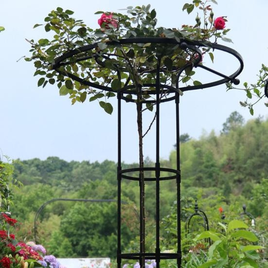 Amusedly Metall-Gartenspalier für Kletterpflanzen in Schwarz, Höhe: 150 cm - Bild 5