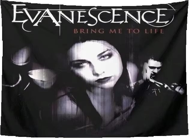 Evanescence Rockband Wandteppich von JMG Household Supplies, Farbe: Schwarz, Material: Polyester, B x H: 40 x 60 cm - Bild 1
