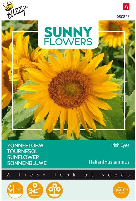 Sonnenblume Irish Eyes Buzzy Sunny Flowers Samen für Beet und Hecke, 1 g - Bild 1