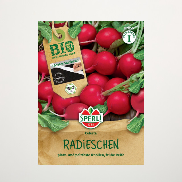 Sperli Radieschen Rudolf Bio Saatband - Bild 1