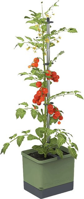 Gusta Garden Pflanztopf Tom Tomato Dunkelgrün - Bild 1