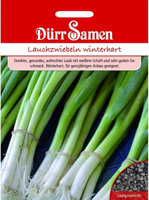 Dürr Lauchzwiebeln Saatgut winterhart 155 g - Bild 1
