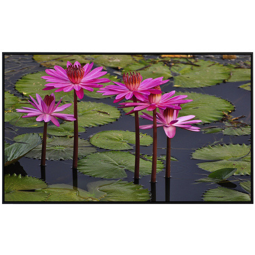 papermoon Infrarotheizung EcoHeat Rosa Lotus mit Matt-Effekt in Bunt, App-Steuerung und Überhitzungsschutz, B/H/T: 60 x 50 x 50 cm - Bild 2