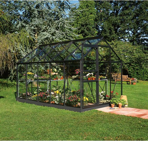 Halls Gewächshaus Popular Schwarz 6,2 m² mit 3 mm Sicherheitsglas - Bild 3