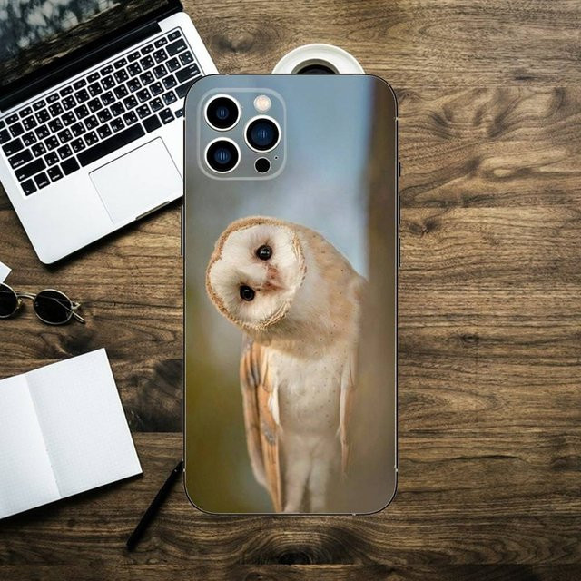 Süße Eulen Handyhülle aus Silikon für Apple iPhone 16, 15, 14, 13, 12, 11 und weitere Modelle in Schwarz und Multicolour - Bild 1