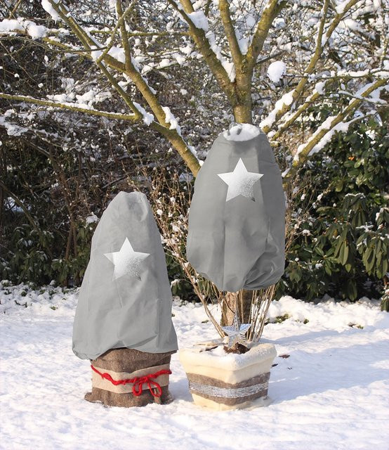Winterschutz Vlieshaube STERN-METALLIC B/T: 110 x 110 cm - Bild 1