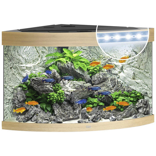 Juwel Aquarium Trigon 190 LED Aquarium in Braun mit Holzoptik - Bild 2