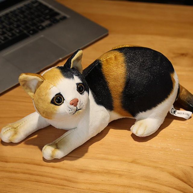 Kidsly Katzen Plüschtier, 4-teiliges Set, bunt, 31cm - Bild 1