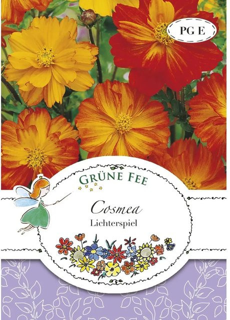 Grüne Fee Cosmea Lichterspiel Saatgut für Beete und Rabatten - Bild 1