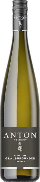 Matthias Anton Pinot Grigio Weißwein, Pfalz, 2025, trocken, 0,75 l - Bild 1