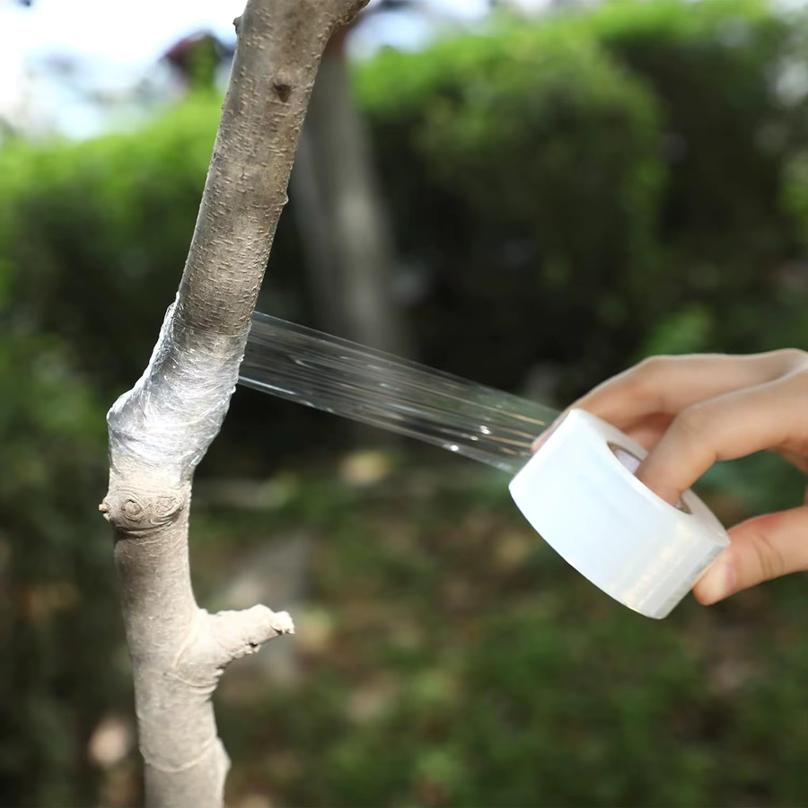 Selbstklebende PE-Veredelungsfolie für Garten-Obstbäume, transparente Baumstumpf-Dehnungsfolie ohne Knotenbildung - Bild 2