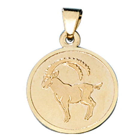 Colfem Anhänger Sternzeichen Steinbock, 333 Gelbgold, matt, Unisex - Bild 1