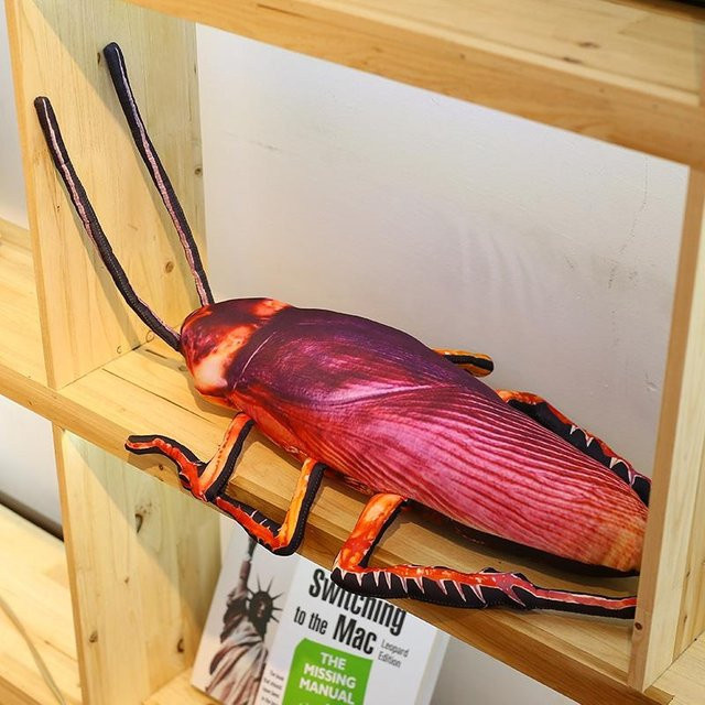 Kidsly Kakerlake Plüsch, Insekten Kissen, ab 3 Jahren - Bild 1