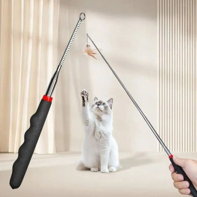 HOMEFISH Katzenspielzeug, Metall-Katzenspielzeug mit Einziehbarem Plastikstab, Interaktiver Langer Spielstab - Bild 1