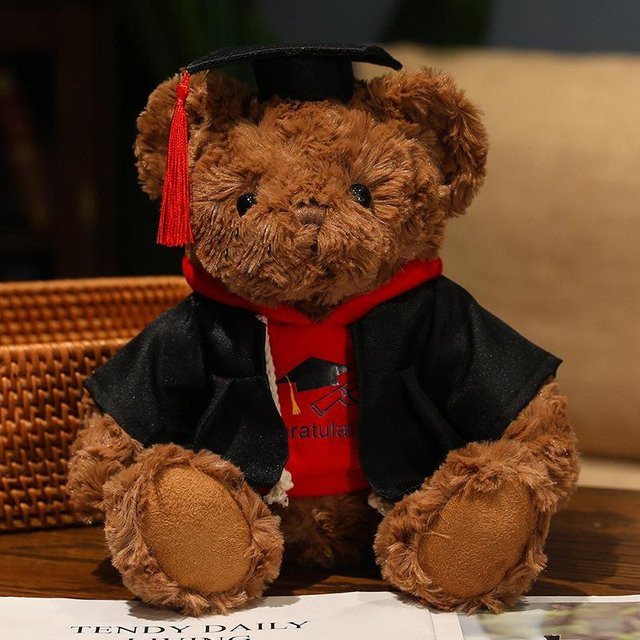 Yiran toy Hoodie Teddybär, Plüschtier, 26cm, ab 14 Jahren - Bild 1