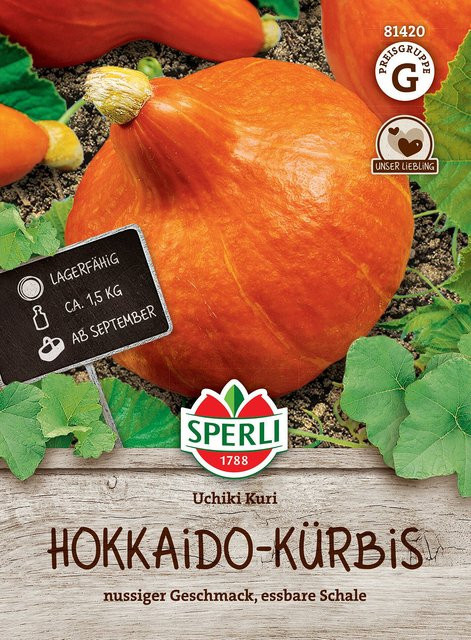 SPERLI Hokkaido Kürbis-Samen 'Uchiki Kuri' 1500 g - Bild 1