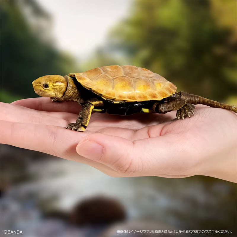 Bandai Gashapon Turtle Actionfigur, japanische Steinschildkröte, beweglich - Bild 3