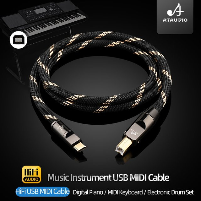 ATAUDIO HiFi USB-C auf USB 2.0 OTG-Kabel in Schwarz für MIDI, Digitalpiano und DAC - Bild 1